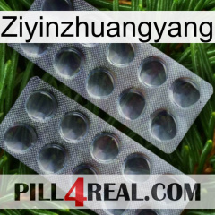 Ziyinzhuangyang 31